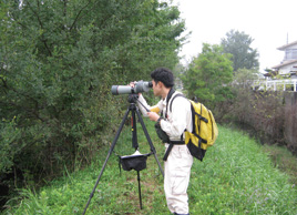 鳥類調査