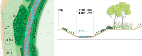 上郷川　多自然川づくり（円山川堤外地路）