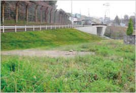 柏原市道　亀の瀬清水谷橋