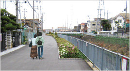 一級河川恩智川堤防道路